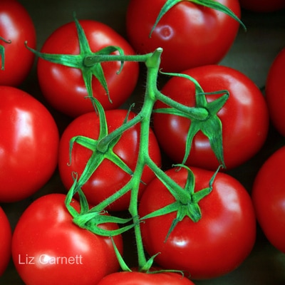 Display of tomatoes on market stall in France by Liz Garnett